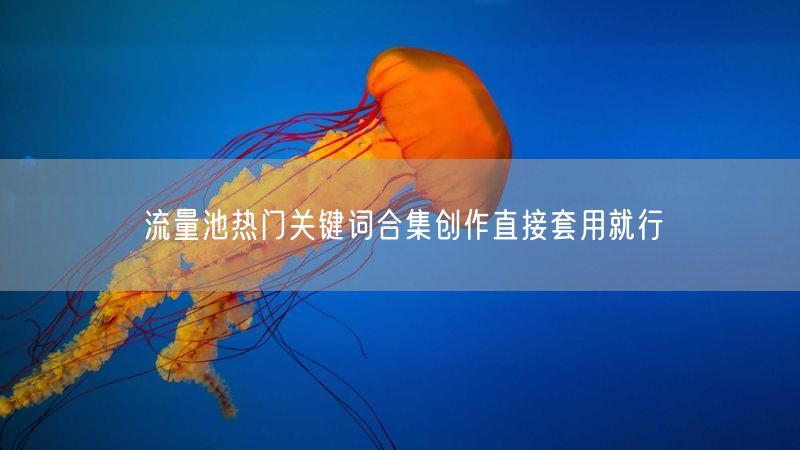 流量池热门关键词合集创作直接套用就行