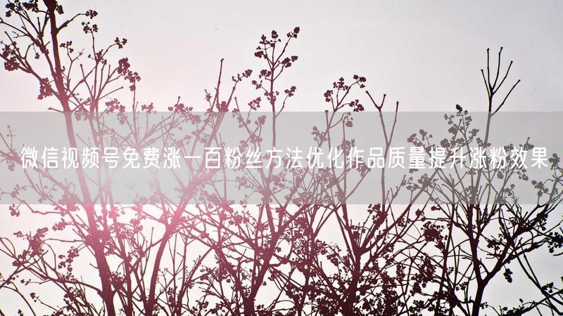 微信视频号免费涨一百粉丝方法优化作品质量提升涨粉效果