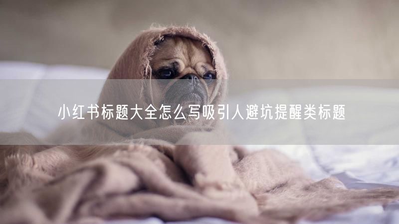 小红书标题大全怎么写吸引人避坑提醒类标题