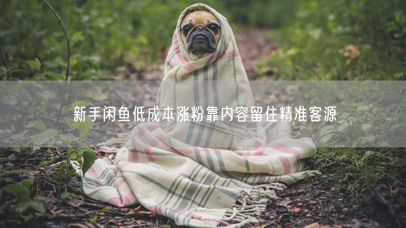 新手闲鱼低成本涨粉靠内容留住精准客源