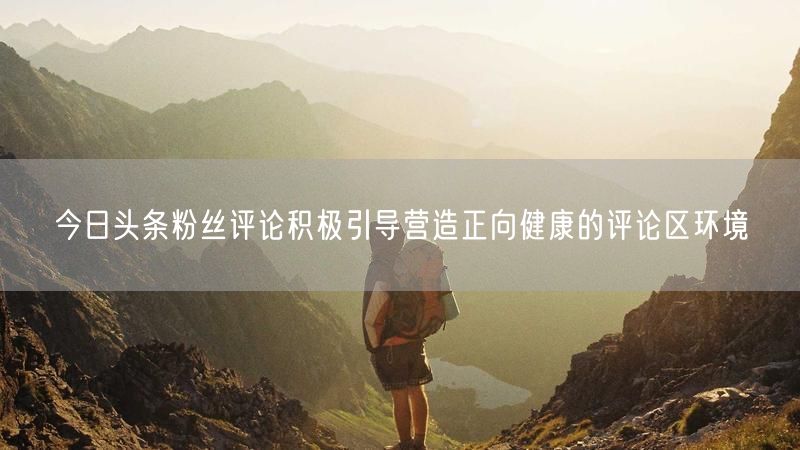 今日头条粉丝评论积极引导营造正向健康的评论区环境