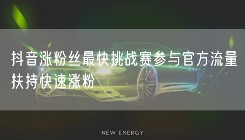 抖音涨粉丝最快挑战赛参与官方流量扶持快速涨粉
