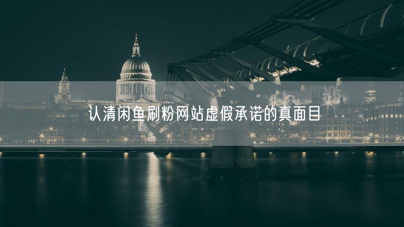 认清闲鱼刷粉网站虚假承诺的真面目
