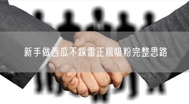 新手做西瓜不踩雷正规吸粉完整思路