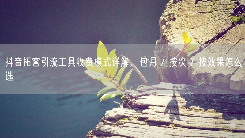 抖音拓客引流工具收费模式详解，包月 / 按次 / 按效果怎么选