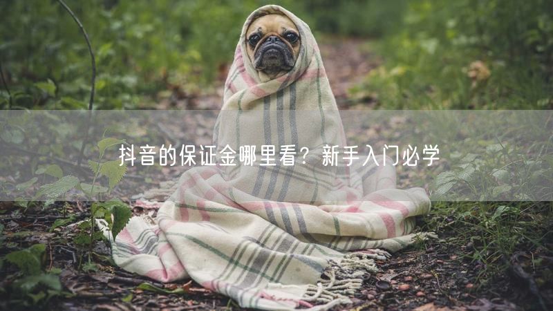 抖音的保证金哪里看？新手入门必学