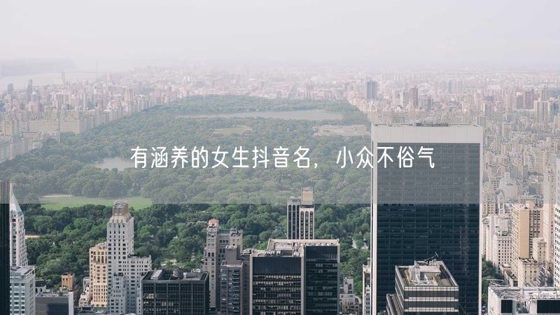 有涵养的女生抖音名，小众不俗气