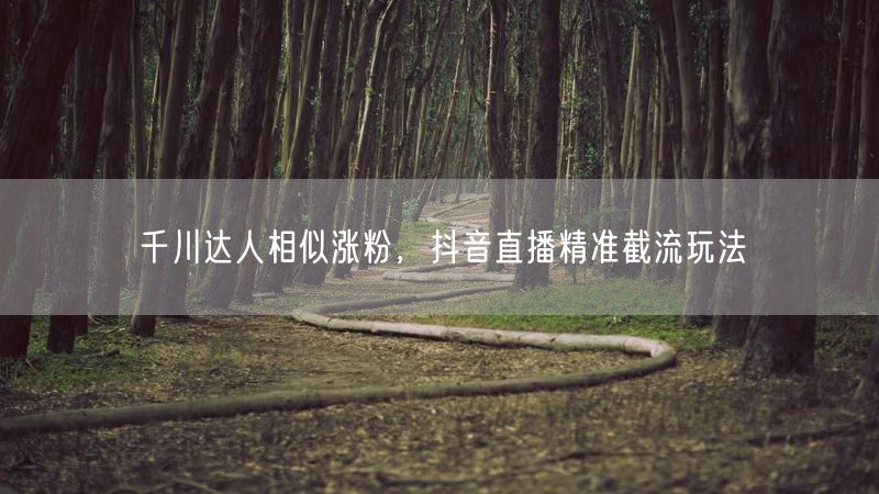 千川达人相似涨粉，抖音直播精准截流玩法