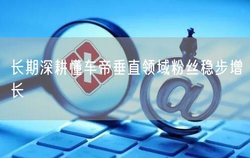 长期深耕懂车帝垂直领域粉丝稳步增长