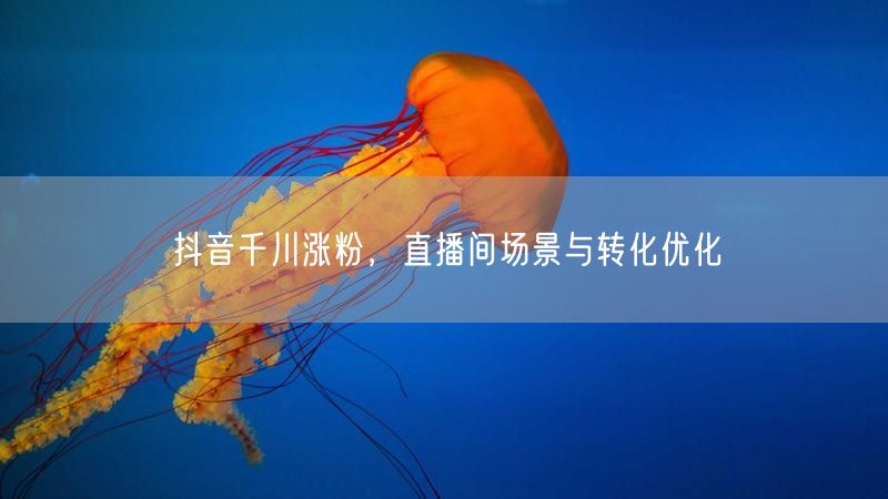 抖音千川涨粉，直播间场景与转化优化