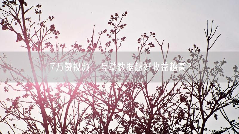 7万赞视频，互动数据越好收益越高？