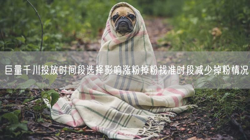巨量千川投放时间段选择影响涨粉掉粉找准时段减少掉粉情况