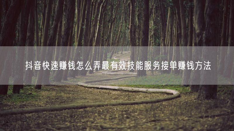 抖音快速赚钱怎么弄最有效技能服务接单赚钱方法