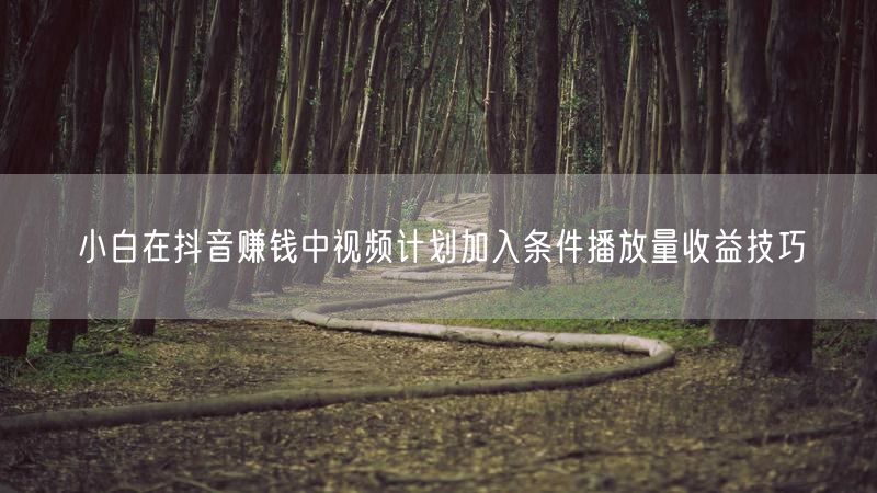 小白在抖音赚钱中视频计划加入条件播放量收益技巧