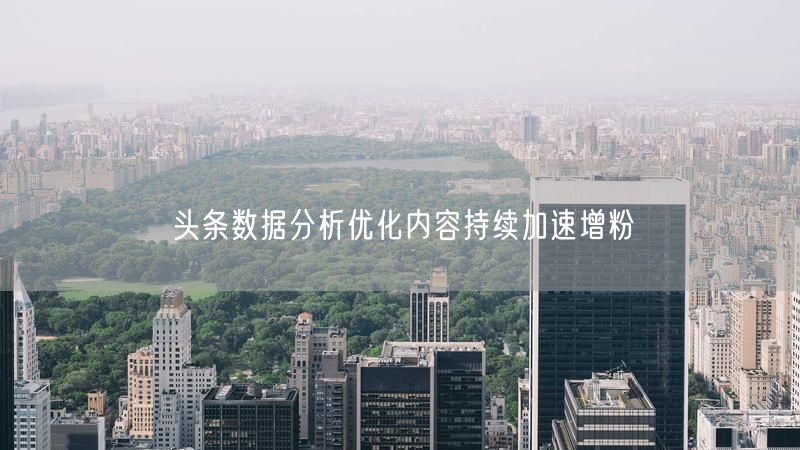 头条数据分析优化内容持续加速增粉