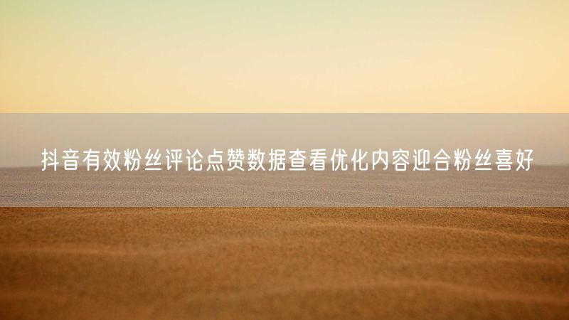 抖音有效粉丝评论点赞数据查看优化内容迎合粉丝喜好