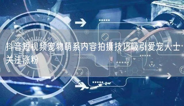 抖音短视频宠物萌系内容拍摄技巧吸引爱宠人士关注涨粉