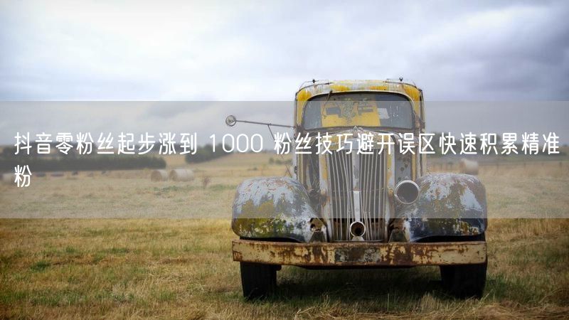 抖音零粉丝起步涨到 1000 粉丝技巧避开误区快速积累精准粉