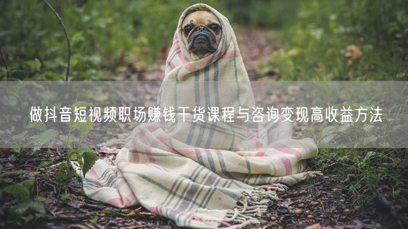 做抖音短视频职场赚钱干货课程与咨询变现高收益方法