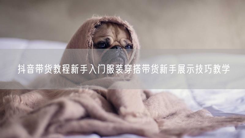 抖音带货教程新手入门服装穿搭带货新手展示技巧教学