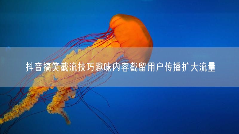 抖音搞笑截流技巧趣味内容截留用户传播扩大流量