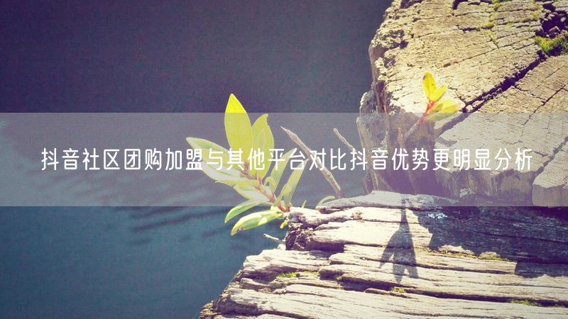 抖音社区团购加盟与其他平台对比抖音优势更明显分析