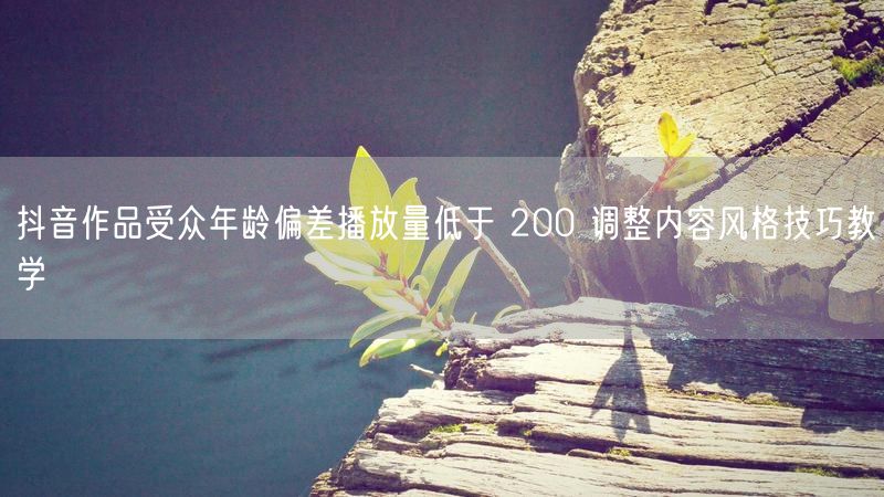 抖音作品受众年龄偏差播放量低于 200 调整内容风格技巧教学