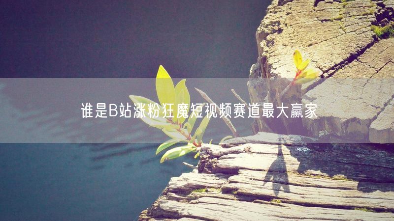 谁是B站涨粉狂魔短视频赛道最大赢家