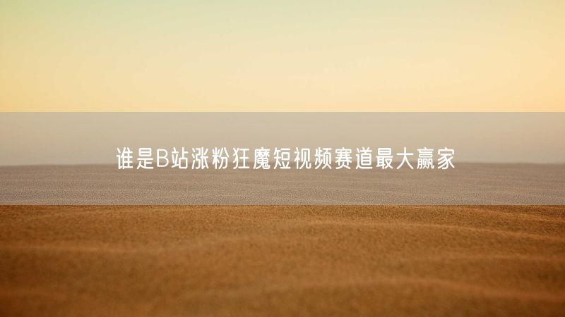 谁是B站涨粉狂魔短视频赛道最大赢家
