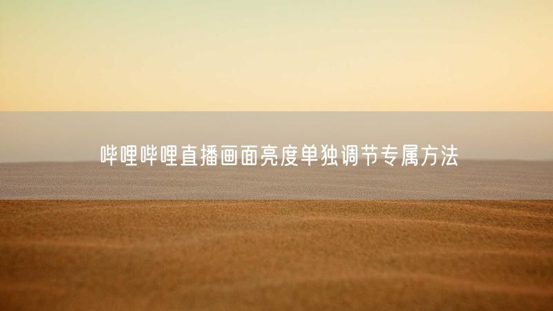 哔哩哔哩直播画面亮度单独调节专属方法