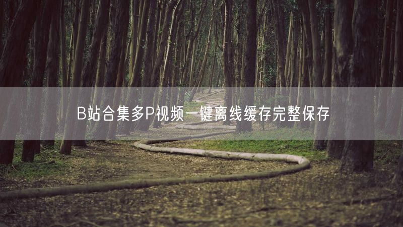 B站合集多P视频一键离线缓存完整保存