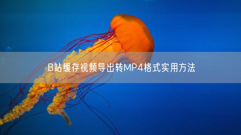 B站缓存视频导出转MP4格式实用方法