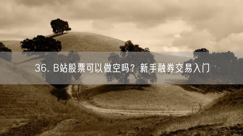 36. B站股票可以做空吗？新手融券交易入门