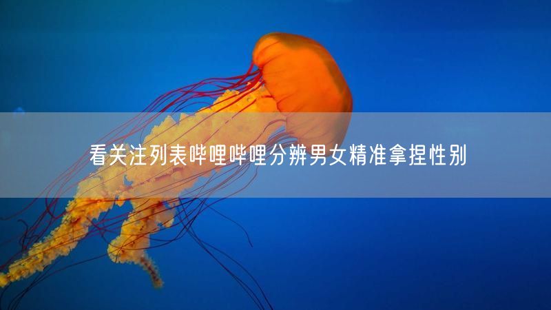 看关注列表哔哩哔哩分辨男女精准拿捏性别