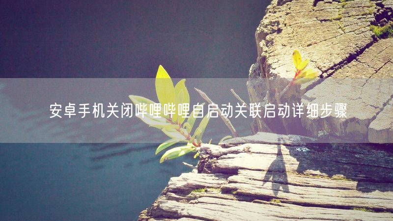 安卓手机关闭哔哩哔哩自启动关联启动详细步骤