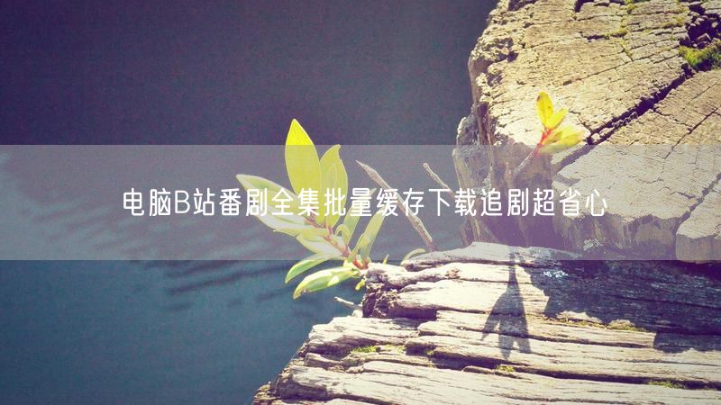 电脑B站番剧全集批量缓存下载追剧超省心