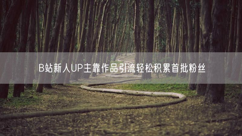 B站新人UP主靠作品引流轻松积累首批粉丝