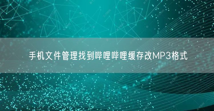 手机文件管理找到哔哩哔哩缓存改MP3格式