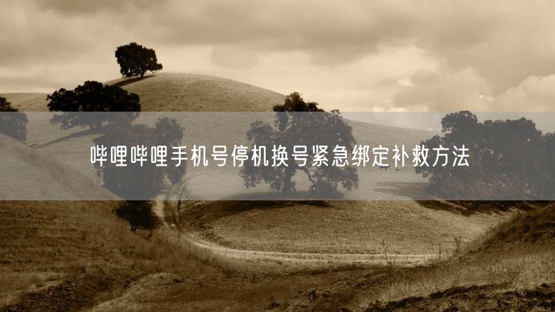 哔哩哔哩手机号停机换号紧急绑定补救方法