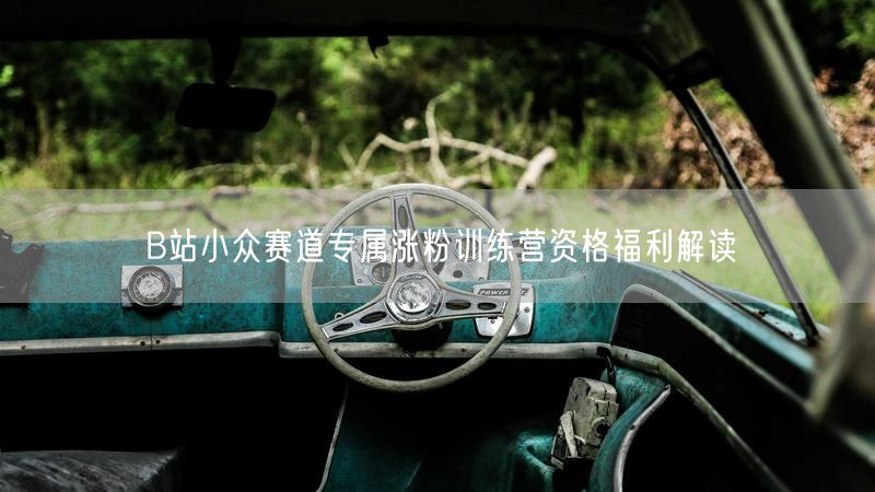 B站小众赛道专属涨粉训练营资格福利解读