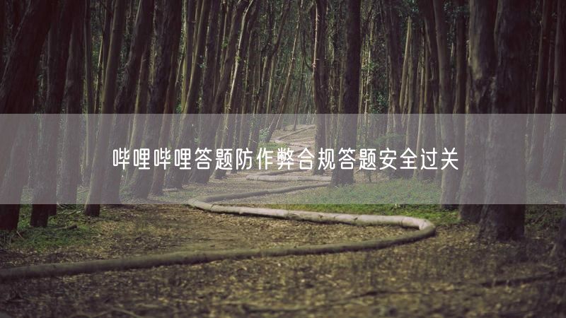 哔哩哔哩答题防作弊合规答题安全过关