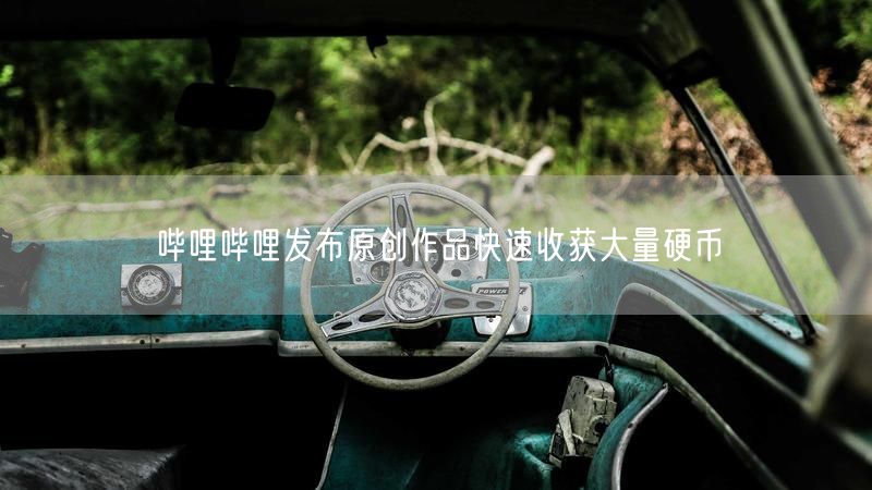 哔哩哔哩发布原创作品快速收获大量硬币