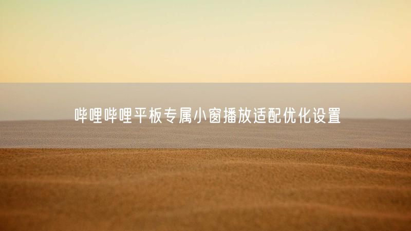 哔哩哔哩平板专属小窗播放适配优化设置