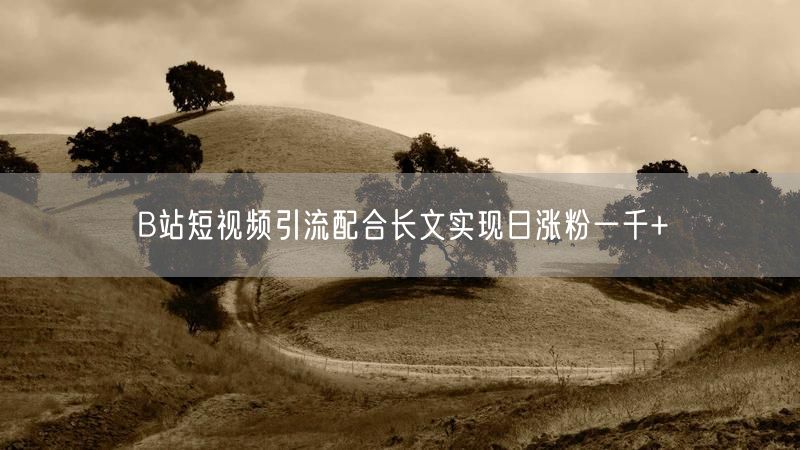 B站短视频引流配合长文实现日涨粉一千+