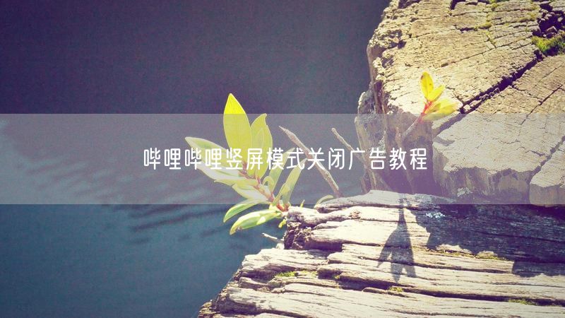 哔哩哔哩竖屏模式关闭广告教程