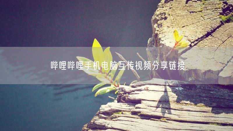 哔哩哔哩手机电脑互传视频分享链接