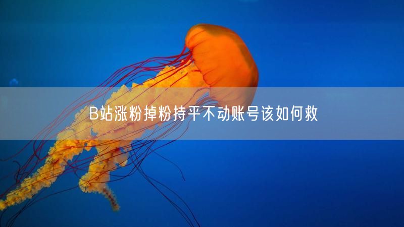 B站涨粉掉粉持平不动账号该如何救