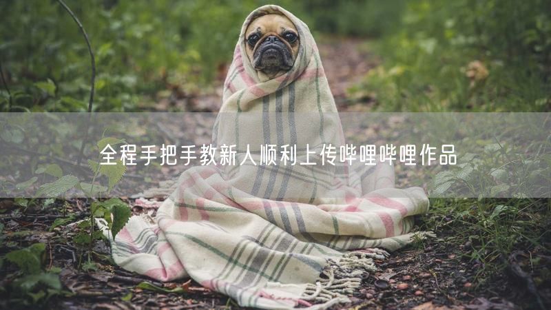 全程手把手教新人顺利上传哔哩哔哩作品