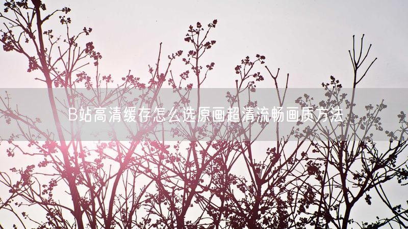 B站高清缓存怎么选原画超清流畅画质方法
