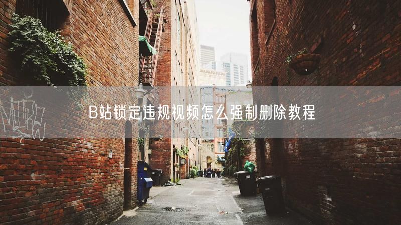 B站锁定违规视频怎么强制删除教程